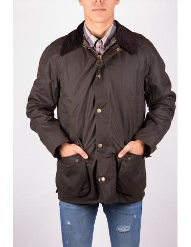 barbour ashby donna